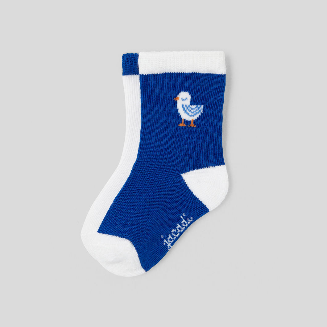 Jacadi Newborn Boy Ferry Socks